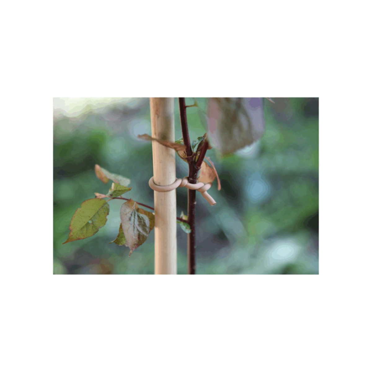Haxnicks 50-3030 Soft Tie, 26.3 ft L, Steel, Galvanized, Wood - 3