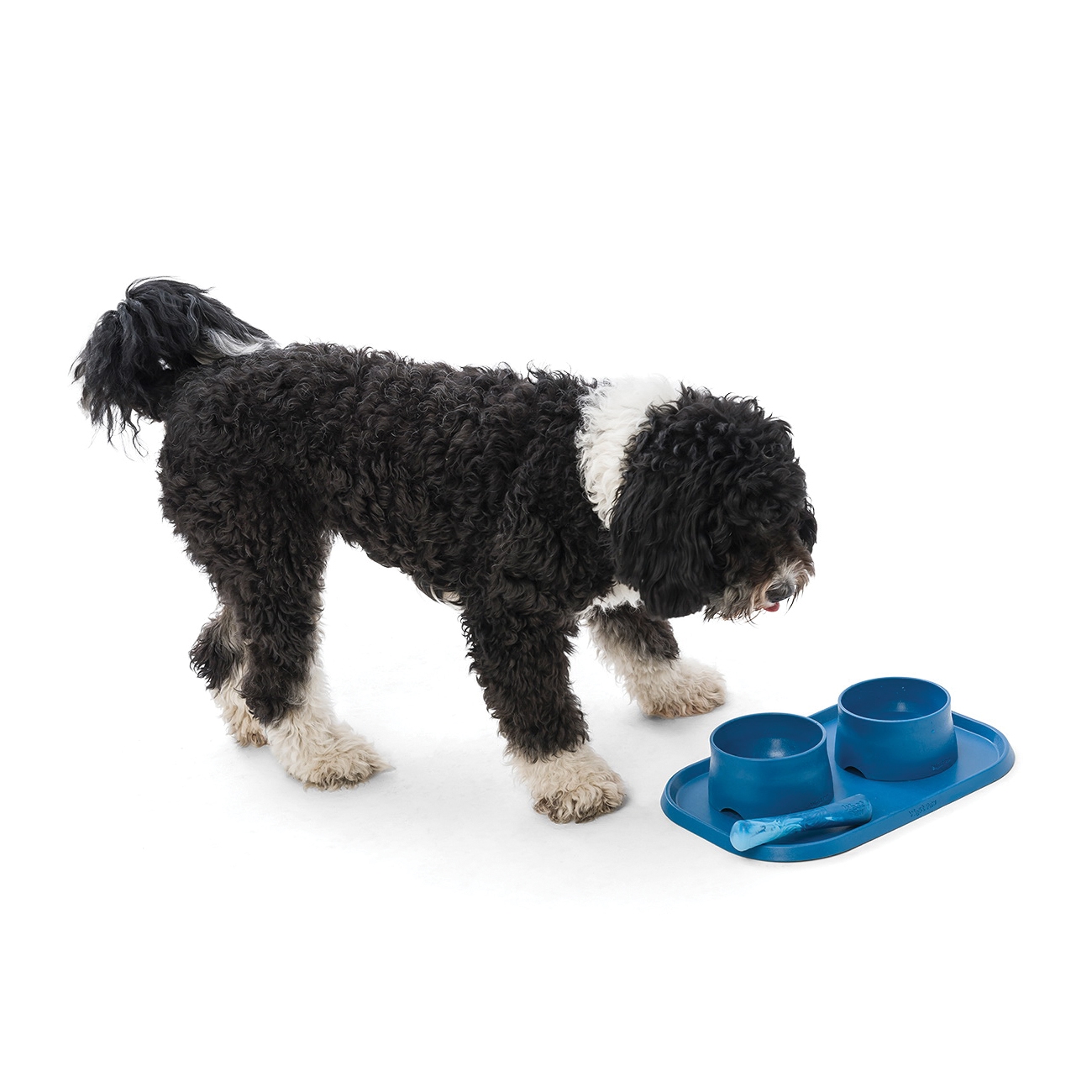 West Paw HA001MAR No-Slip Bowl, 6 in ID x 7 in OD Dia, One-Size, 35 oz Volume, Plastic, Marine - 3