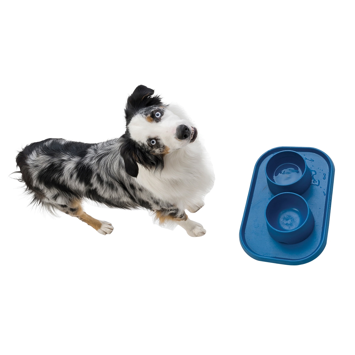 West Paw HA020MAR Doggie Placemat, Seaflex Plastic, Marine - 4
