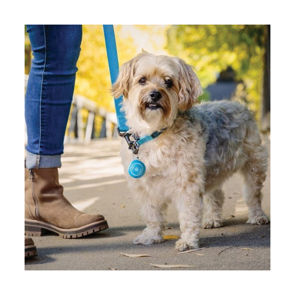 Nite Ize WearAbout WATP-03T-R6 Clippable Tracker Holder, Stainless Steel/Thermoplastic Rubber, Blue - 3