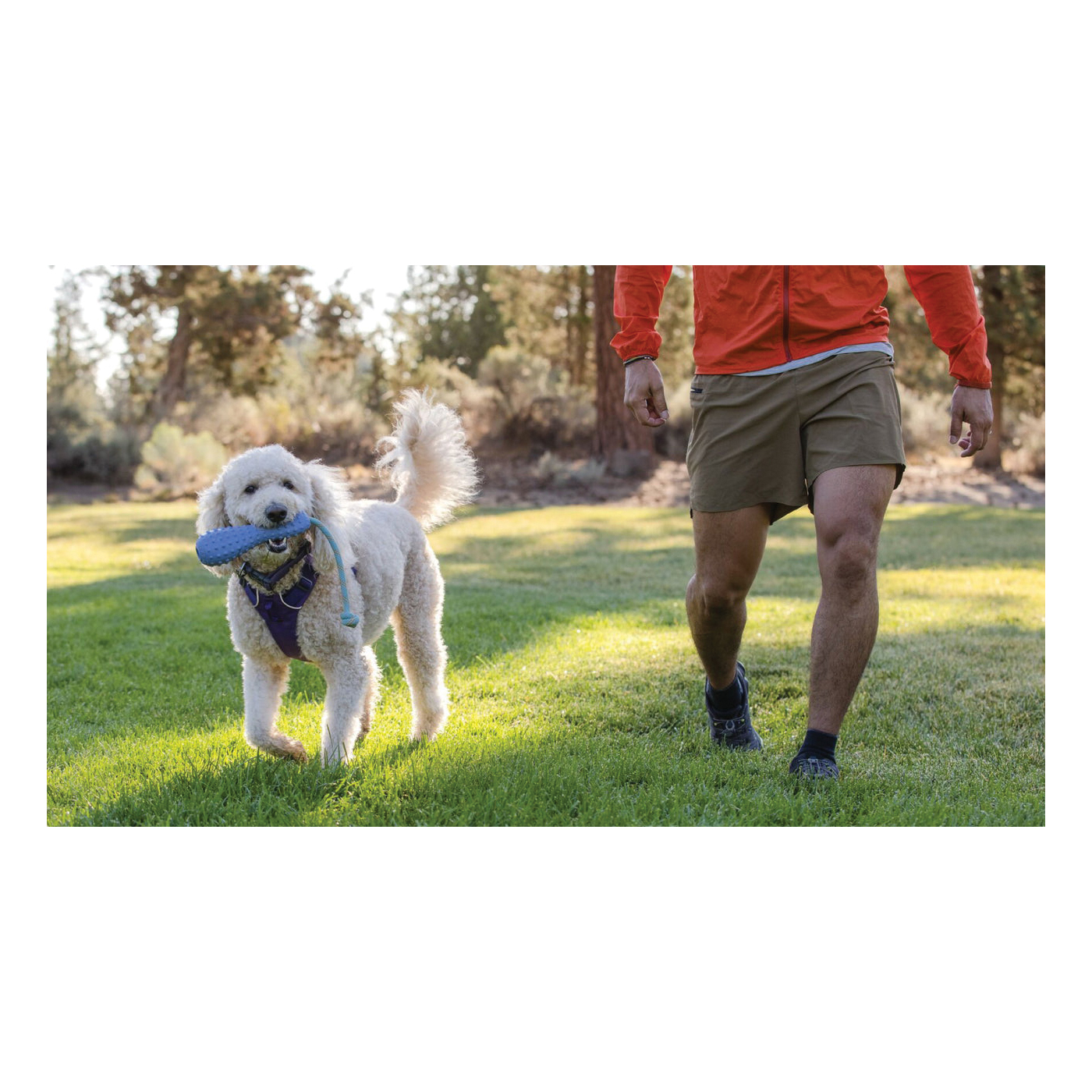Ruffwear Gourdo 60302-815S Dog Toy, S, Throw Toy, Polypropylene/Rubber, Campfire Orange - 5