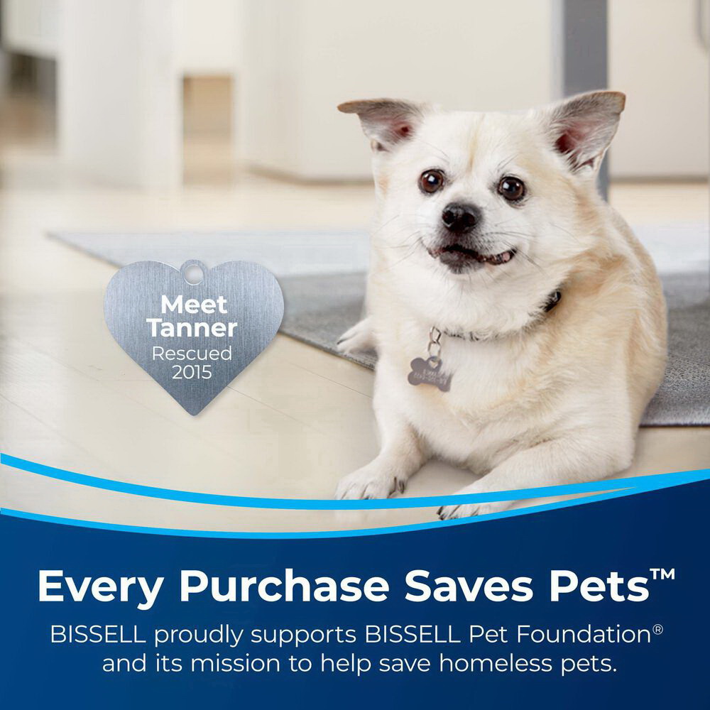 Bissell Pet Stain Eraser 3182 Portable Carpet Cleaner, 8 oz Tank, 3 in W Cleaning Path, Black/Electric Green - 2