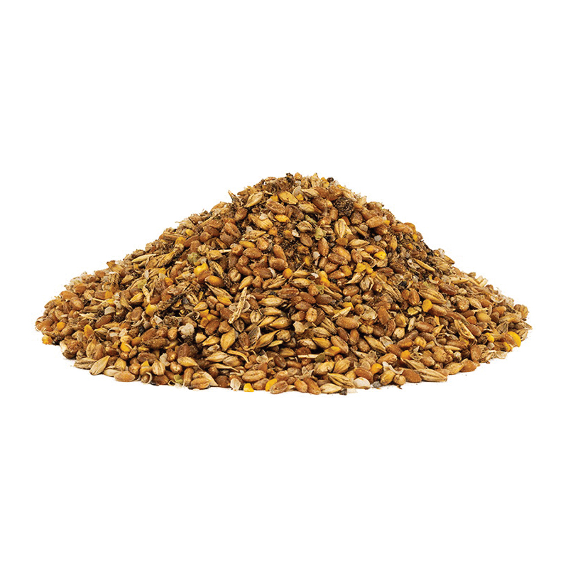 Scratch and Peck Feeds 46002 Organic Layer Feed 16% Protein Plus Corn, 40 lb Bag - 1