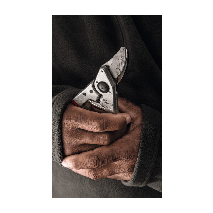 Felco FELCO 12 Pruning Shear, 0.79 in Cutting Capacity, Carbon Steel Blade, Notch Blade, Aluminum Handle, 7.87 in OAL - 2
