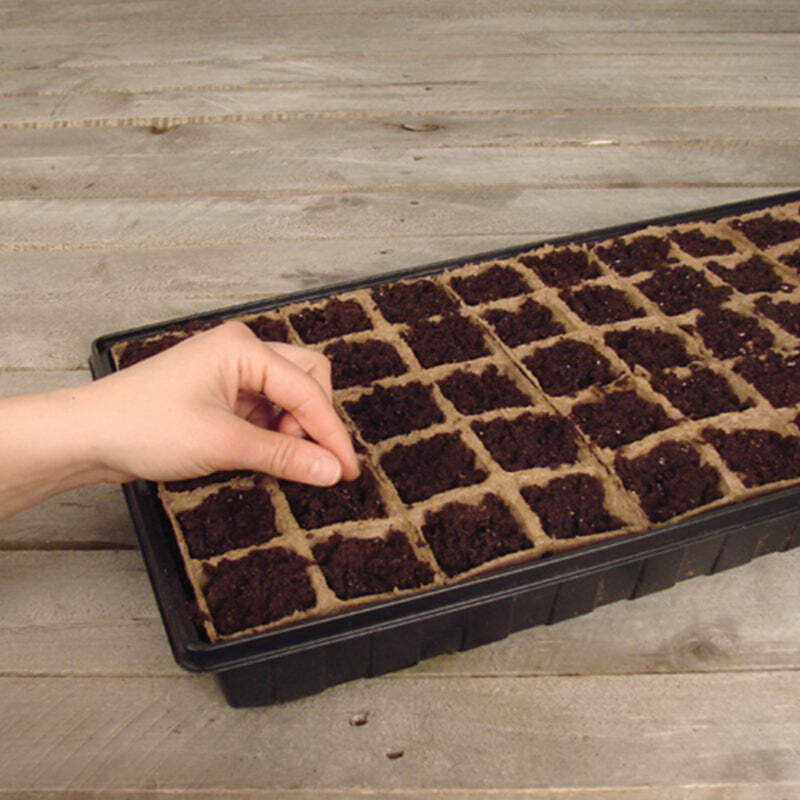 Jiffy TS50HST-8 Seed Starting Greenhouse Kit, 50-Piece - 3