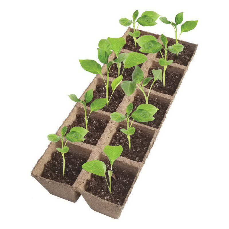 Jiffy TS50HST-8 Seed Starting Greenhouse Kit, 50-Piece - 4