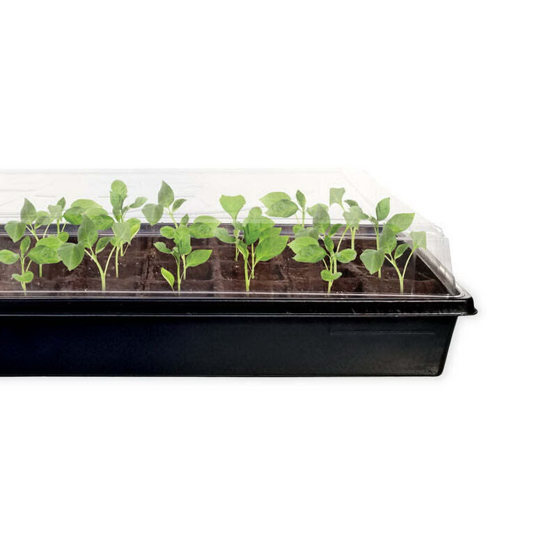 Jiffy TS50HST-8 Seed Starting Greenhouse Kit, 50-Piece - 5