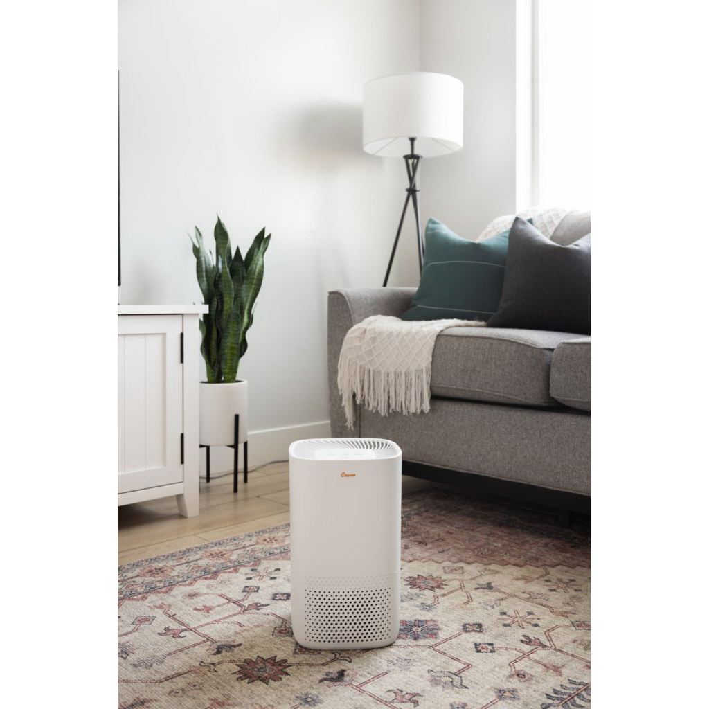Crane EE-5067 Air Purifier, True HEPA Filter, Air Filter Media, 250 sq-ft Coverage Area - 5