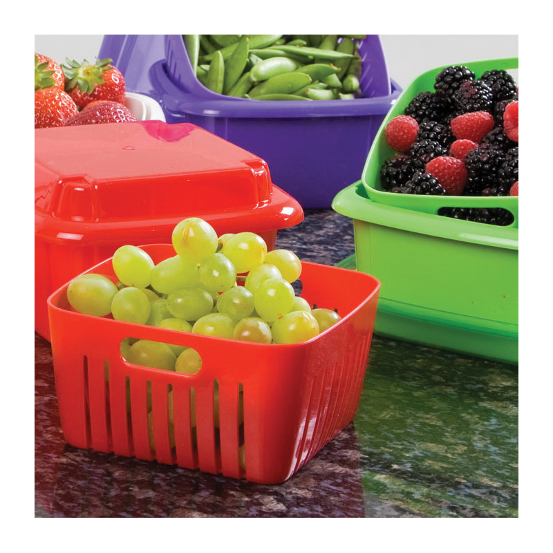 Hutzler 74 Berry Box, 1 qt Capacity, ABS/Polypropylene, 6-5/8 in L, 6-5/8 in W, 5 in H - 1