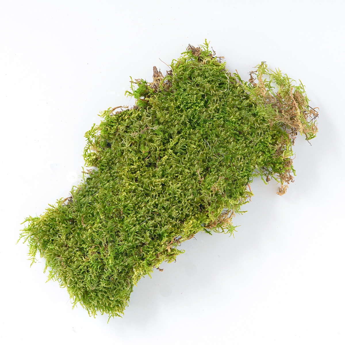 Mosser Lee ML04608 Natural Sheet Moss, Natural Organic Soil, Green, 325 sq-in Bag - 2