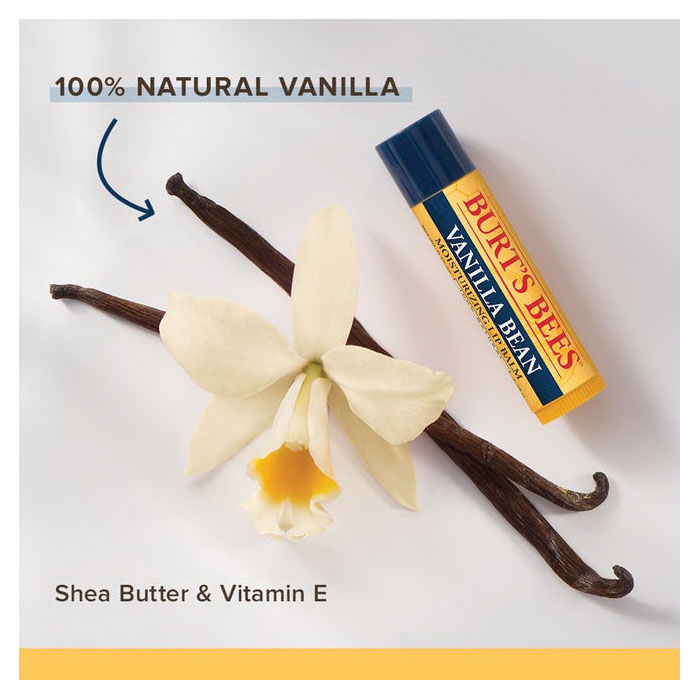 Burt's Bees 89211 Lip Balm, Vanilla, 0.15 oz, 1/PK - 3