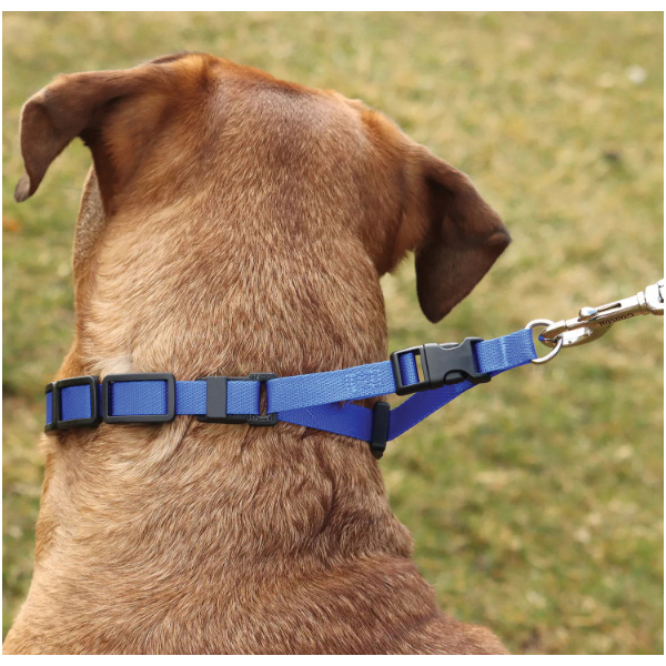 Coastal Pet Products 05597P BLK00 Training Collar Additional Links, Plastic, Black - 4