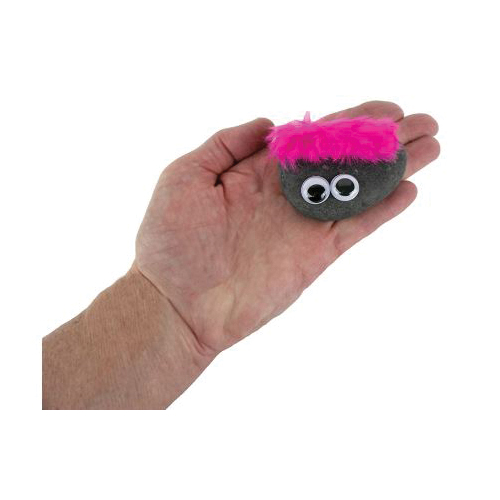Pet Rock 8119 The Original Pet Rock - 4