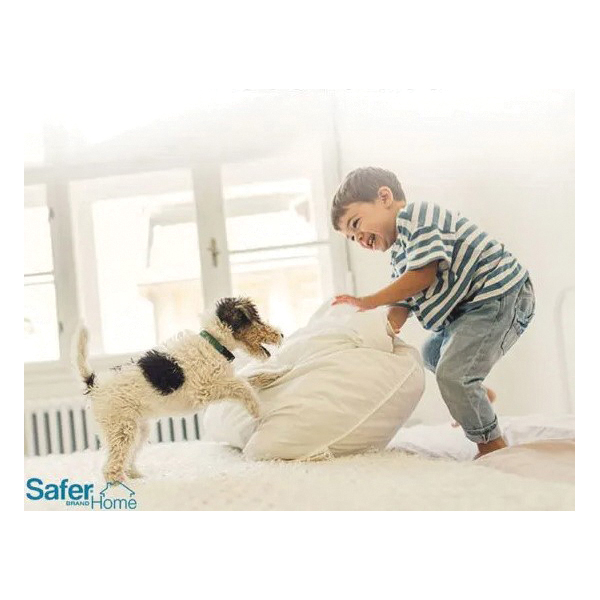 Safer SH400 Home Spider and Insect Trap, Solid, Clear - 5