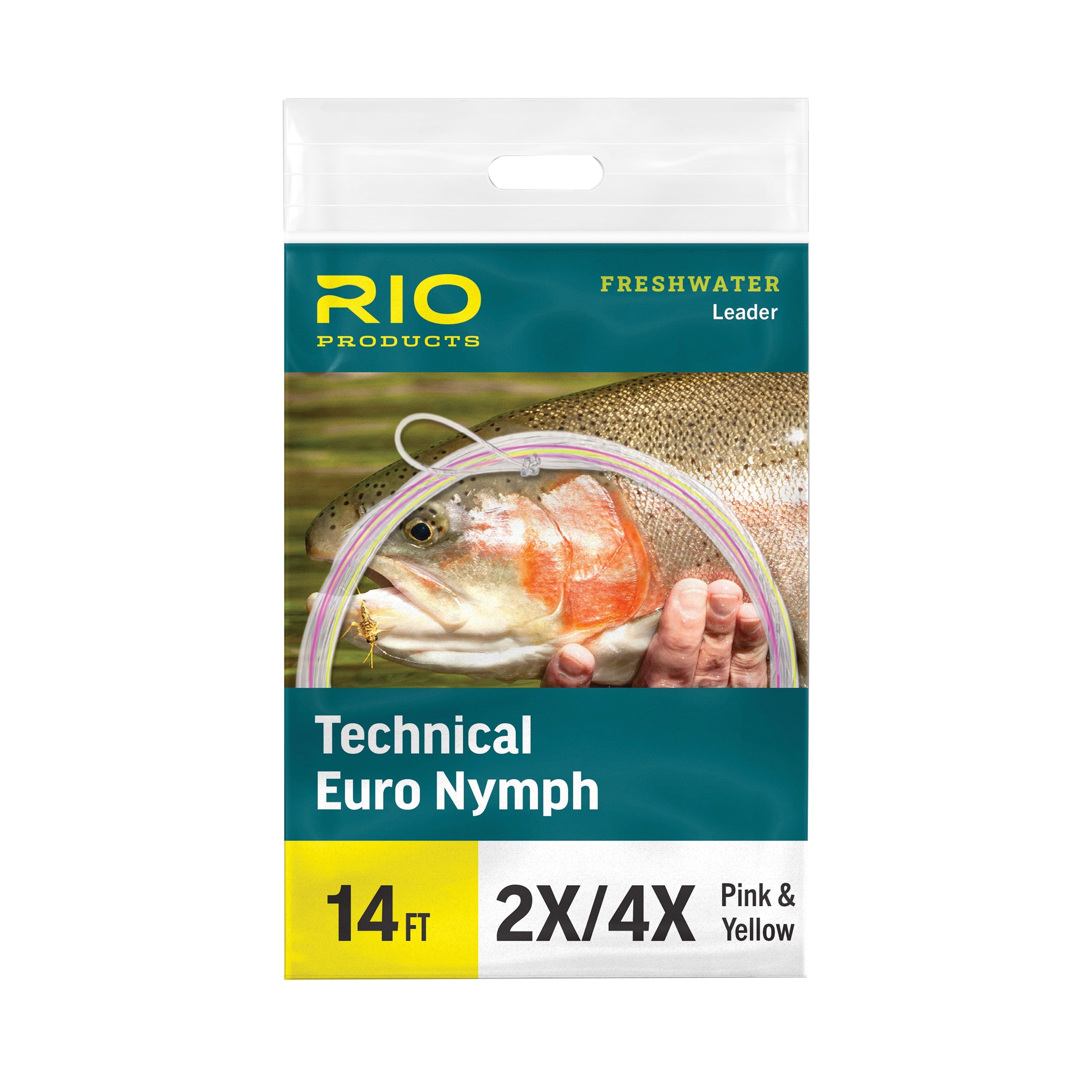 Rio 6-24049