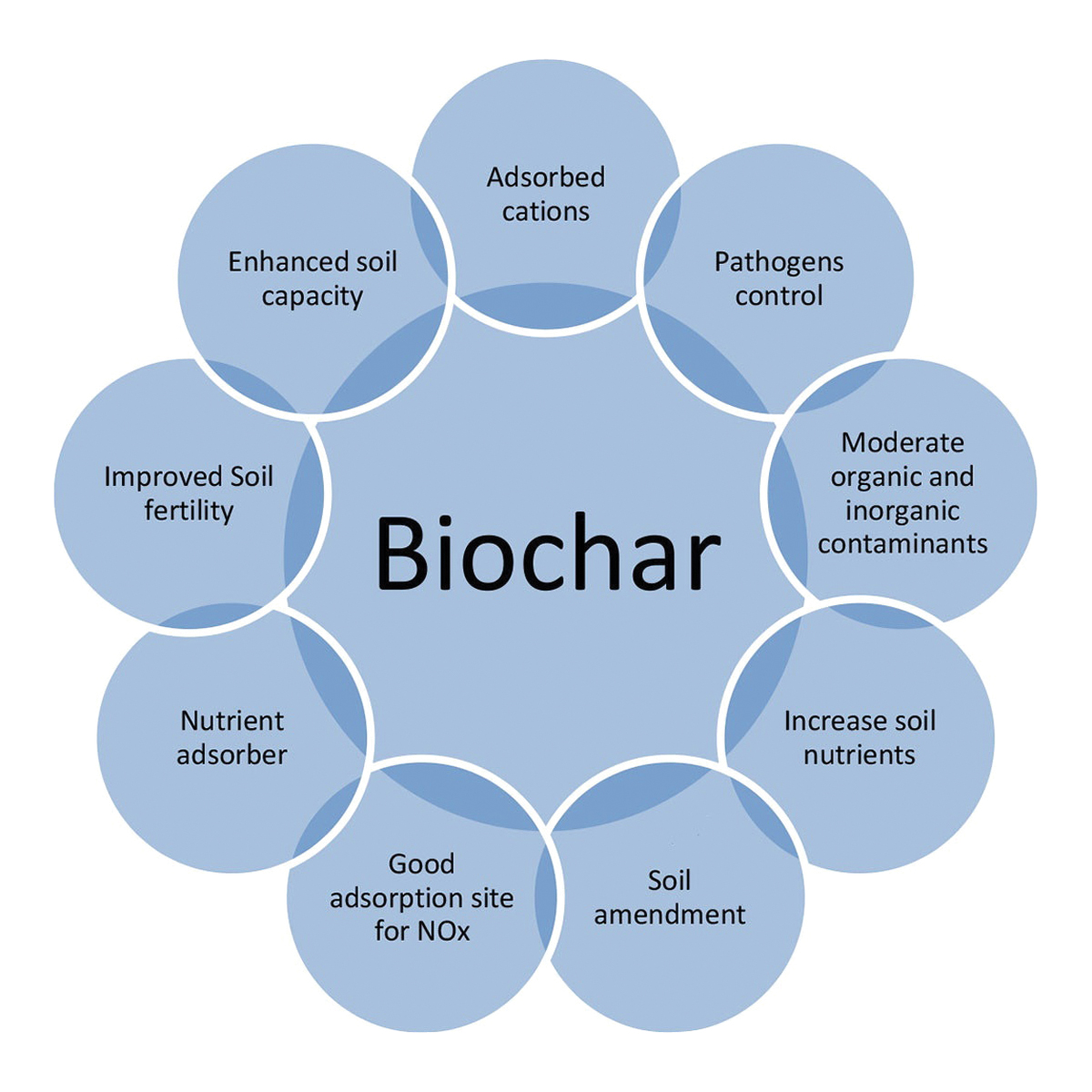 Sustainable Village IG18799 Biochar Supersnack, 1 L - 2