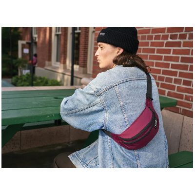Dakine Classic Series 8130205-GEYSER5306 Hip Pack, 2-Compartment, 600D Polyester, Geyser Gray - 4