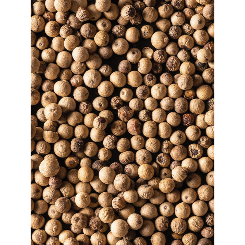 Peugeot Sarawak 42424 White Pepper, 80 g Sachet - 2