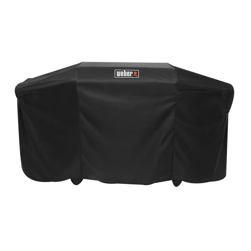 Weber 3400119