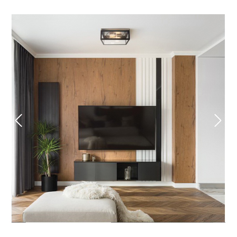 globe Verona Series 65919 Flush-Mount Light, 120 V, 2-Lamp, Incandescent, LED Lamp, Metal Fixture, Dark Bronze Fixture - 3