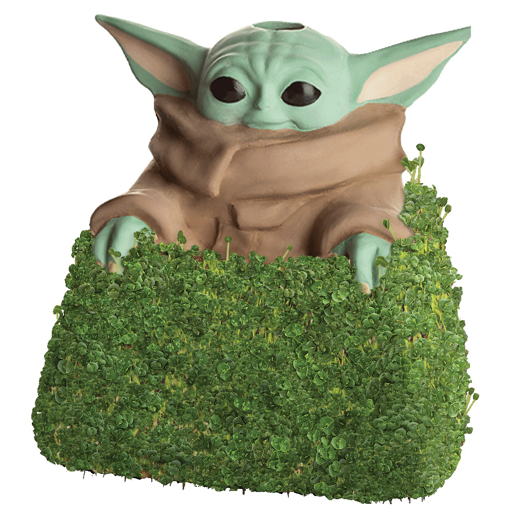 Chia Pet Star Wars Child Mandalorian Decorative Planter Clay - 1