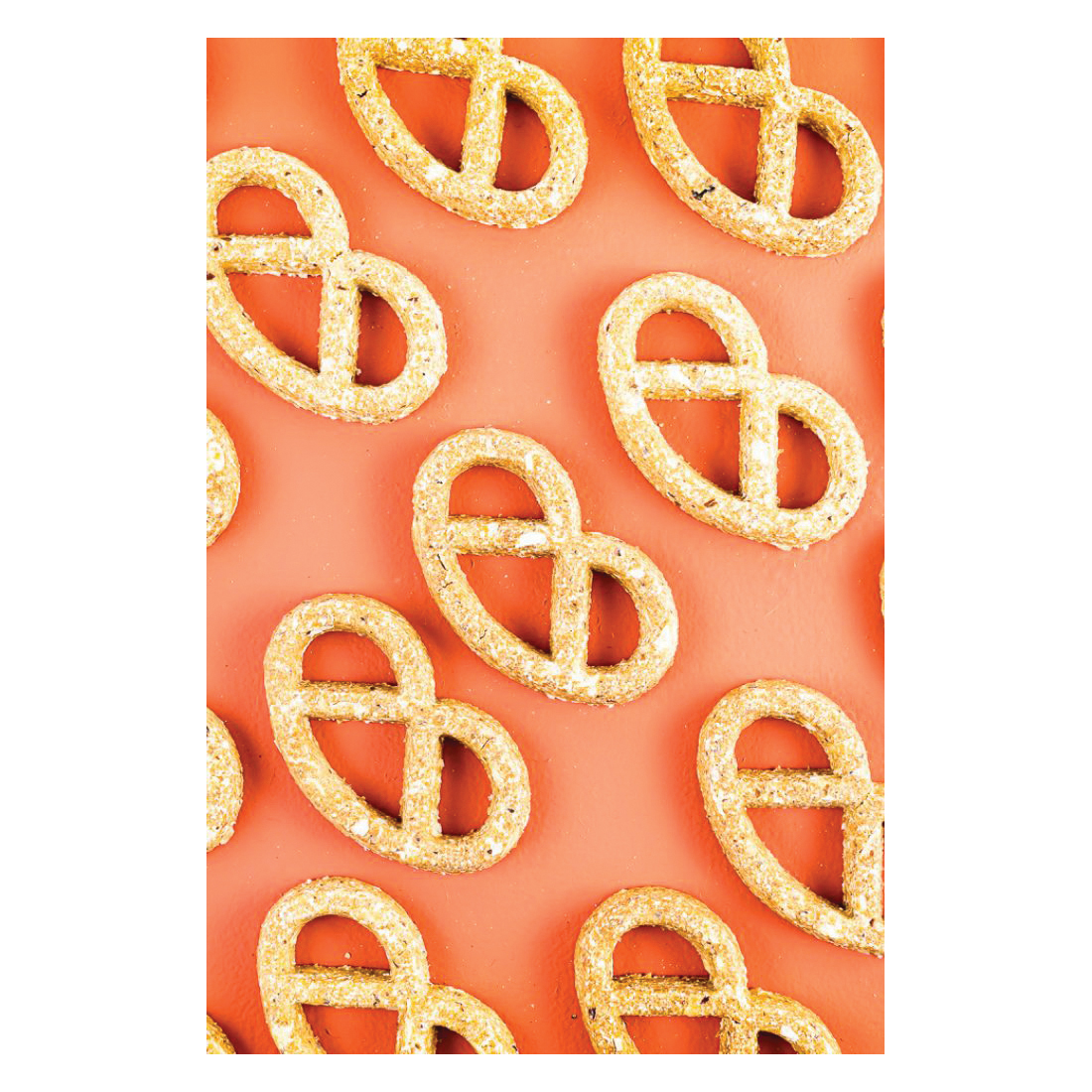 Winnie Lou PBP Dog Treat, Peanut Butter Pretzel, 4 oz, Bag - 4