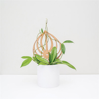 Treleaf Peptrella SKPEPPCH Watermelon Peperomia Staked Trellis, 12 in OAL, 11 in OAW, 12 in OAH, Wood, Coated - 2