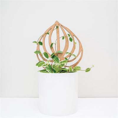 Treleaf Peptrella SKPEPPCH Watermelon Peperomia Staked Trellis, 12 in OAL, 11 in OAW, 12 in OAH, Wood, Coated - 3