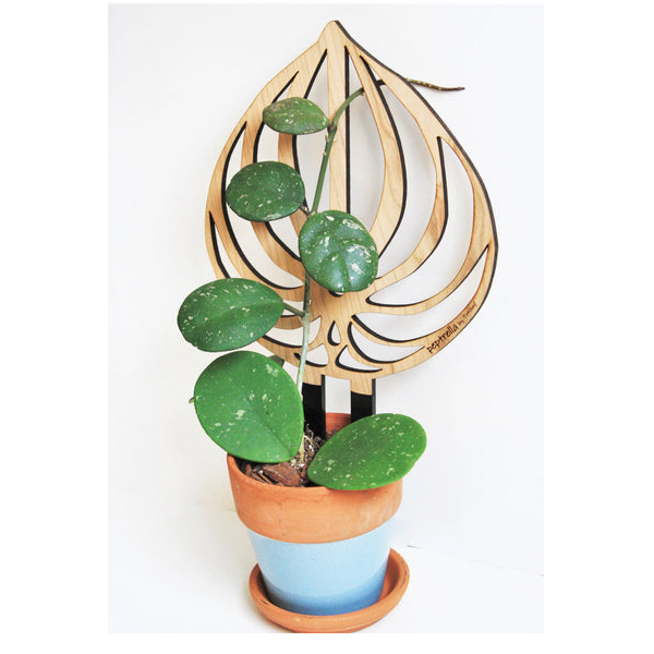 Treleaf Peptrella SKPEPPCH Watermelon Peperomia Staked Trellis, 12 in OAL, 11 in OAW, 12 in OAH, Wood, Coated - 4