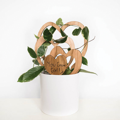 Treleaf Trellove SKTRERCH Hoya Kerrii Staked Trellis, 9 in OAL, 8 in OAW, 9 in OAH, Wood, Coated - 4
