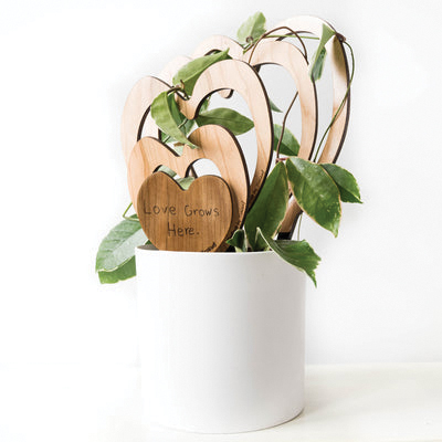 Treleaf Trellove SKTRERCH Hoya Kerrii Staked Trellis, 9 in OAL, 8 in OAW, 9 in OAH, Wood, Coated - 5