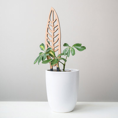 Treleaf Anthrulla SKANTRCH Anthurium Staked Trellis, 12 in OAL, 3-1/2 in OAW, 12 in OAH, Wood, Coated - 4