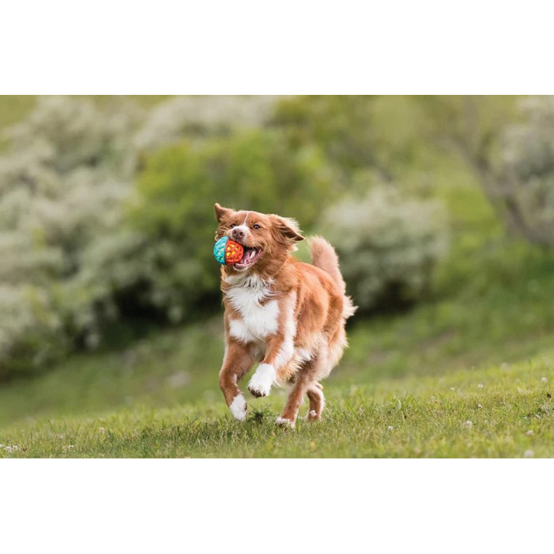 P.L.A.Y. PY7168CSF Dog Toy, Go-Go Astro Ball, Nebula - 1