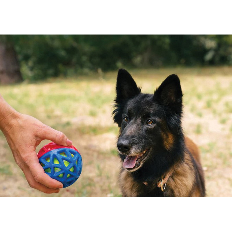 P.L.A.Y. PY7168CSF Dog Toy, Go-Go Astro Ball, Nebula - 2