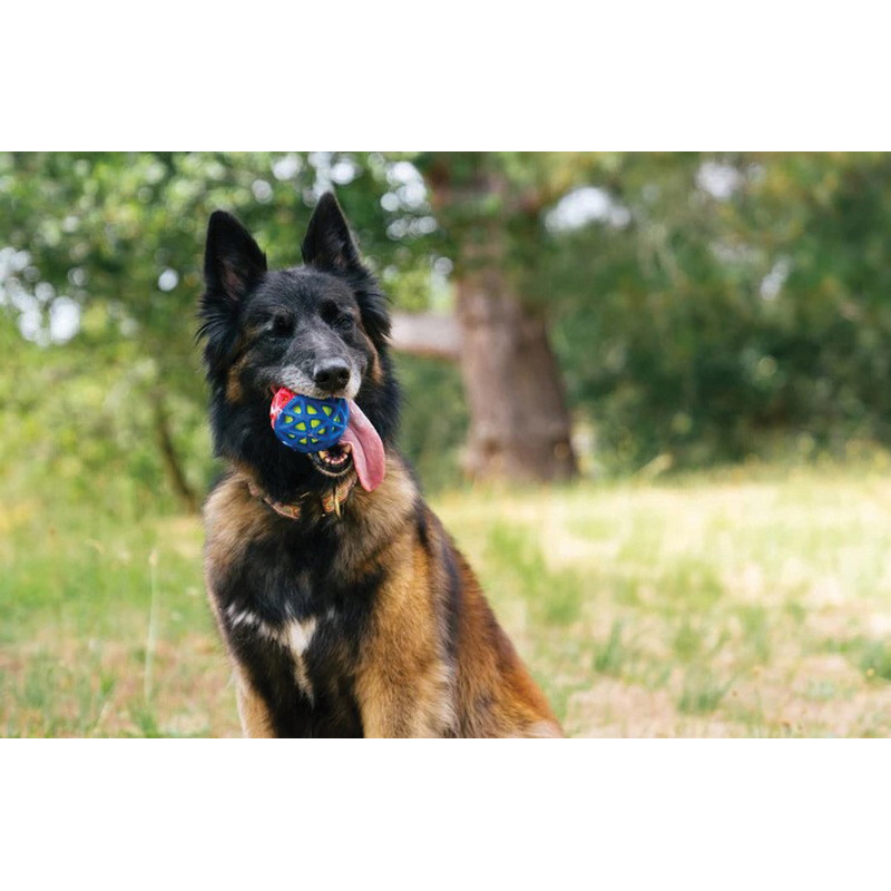 P.L.A.Y. PY7168CSF Dog Toy, Go-Go Astro Ball, Nebula - 3