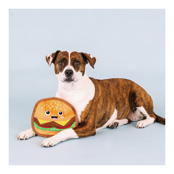 Pet Shop 729140 Dog Toy, Squeaker, Say Cheese - 2