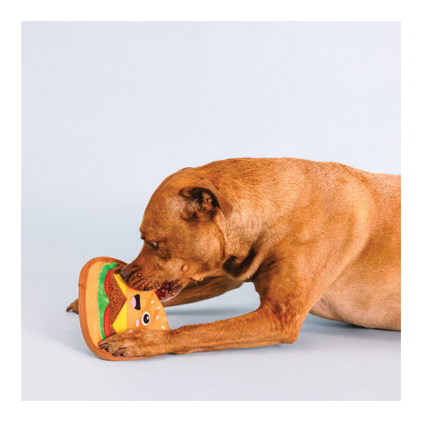 Pet Shop 729140 Dog Toy, Squeaker, Say Cheese - 3