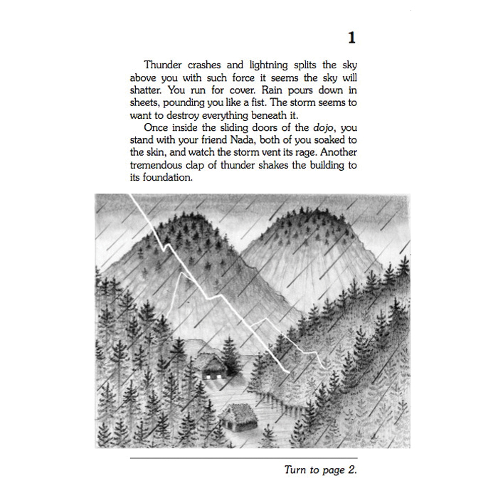 Choose Your Own Adventure Choose Your Own Adventure Series LY32-4B Book, Secret Of The Ninja, Author: Jay Leibold - 3