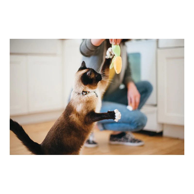 P.L.A.Y. Feline Frenzy Series PY7072ESF Cat Toy, Cat Toy Food, Plastic - 3