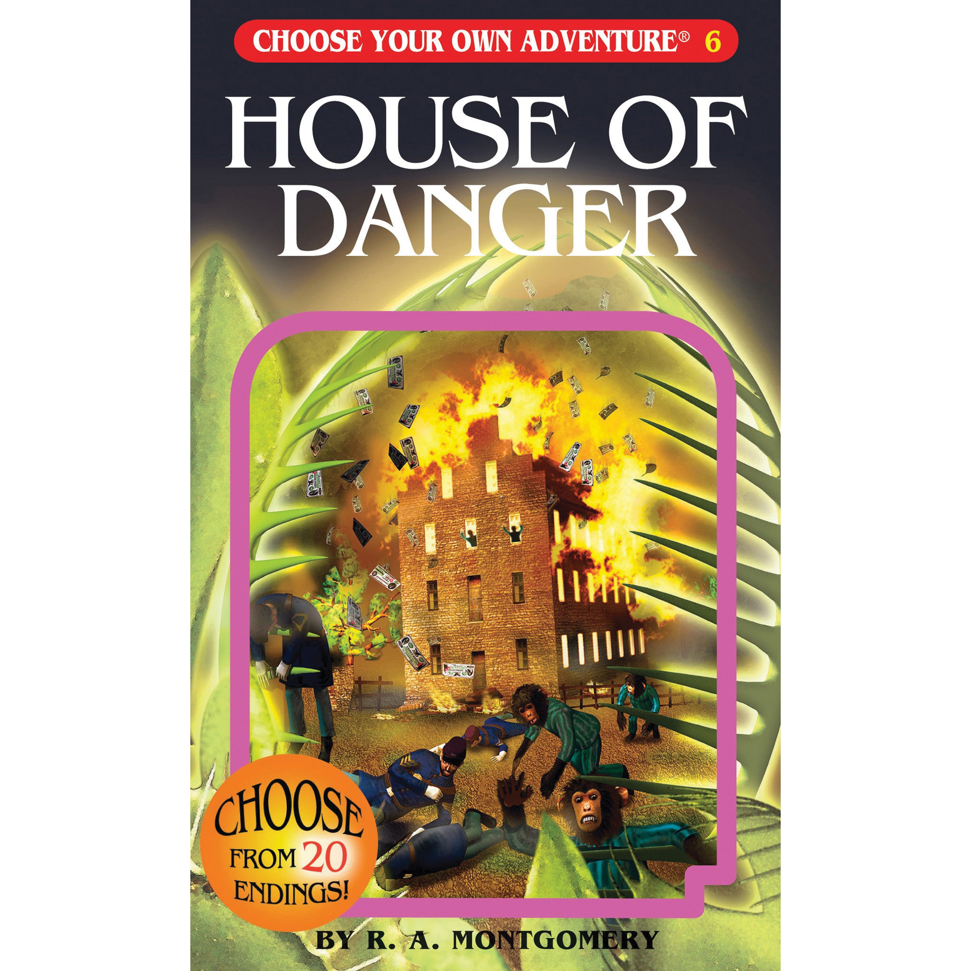 Choose Your Own Adventure LY30-2B