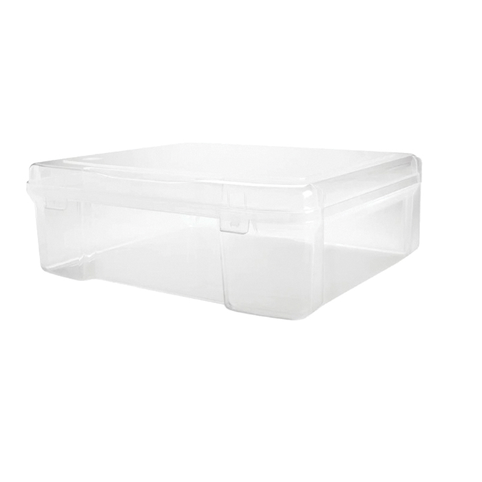 Iris 150780 Scrapbook Case, Plastic, Clear