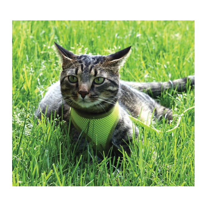 Coastal Pet Products 16386 PKBXSM Adjustable Cat Harness, 11 to 14 in, Pink Bright - 3