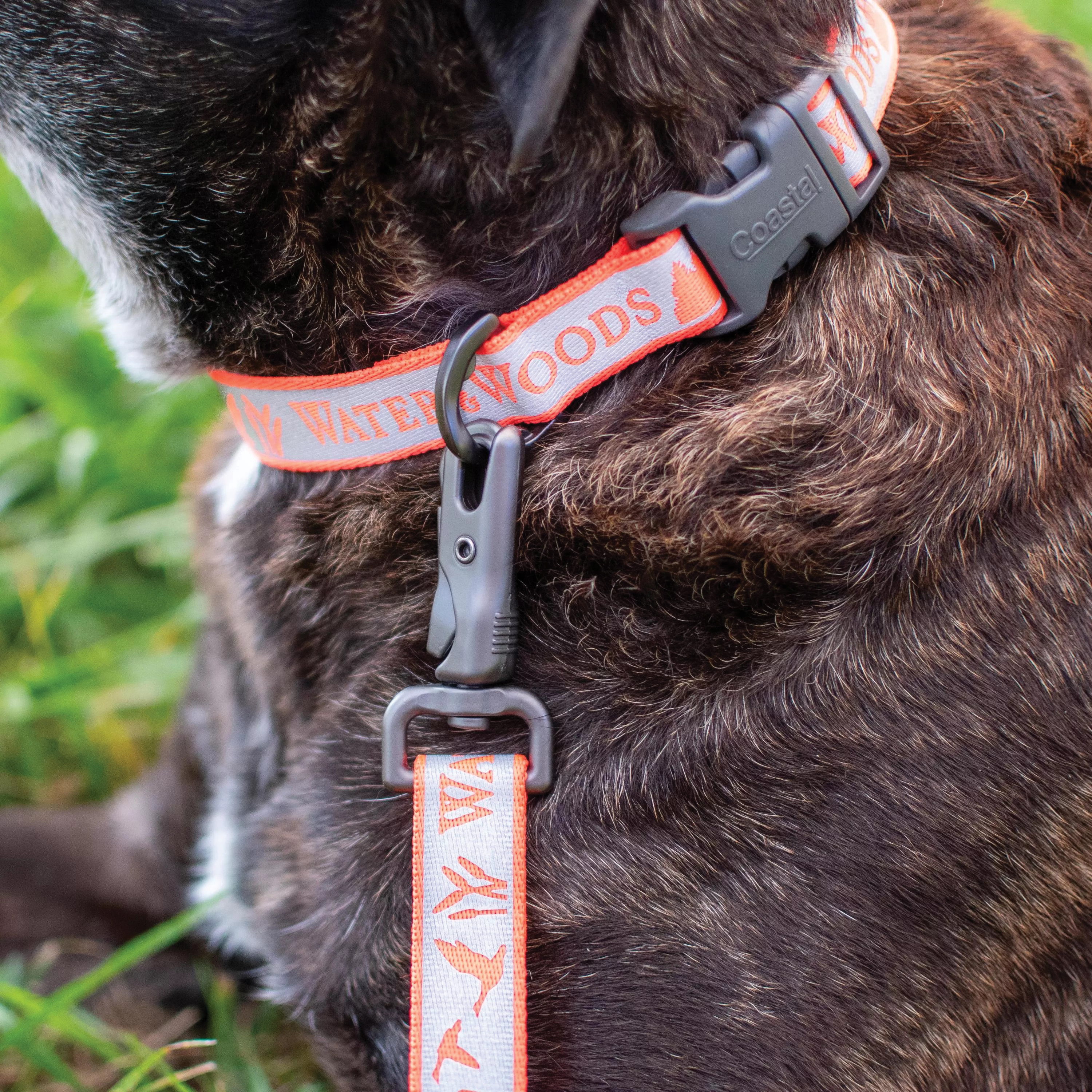 Water & Woods S6941 WWO26 Dog Collar, 22 to 38 in L Chain, 18 to 26 in L, 1 in W, Orange - 3