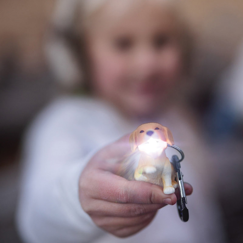 Big Discoveries WILDLIGHT 640-R Retriever Carabiner Flashlight, Alkaline Battery, LED Lamp - 2