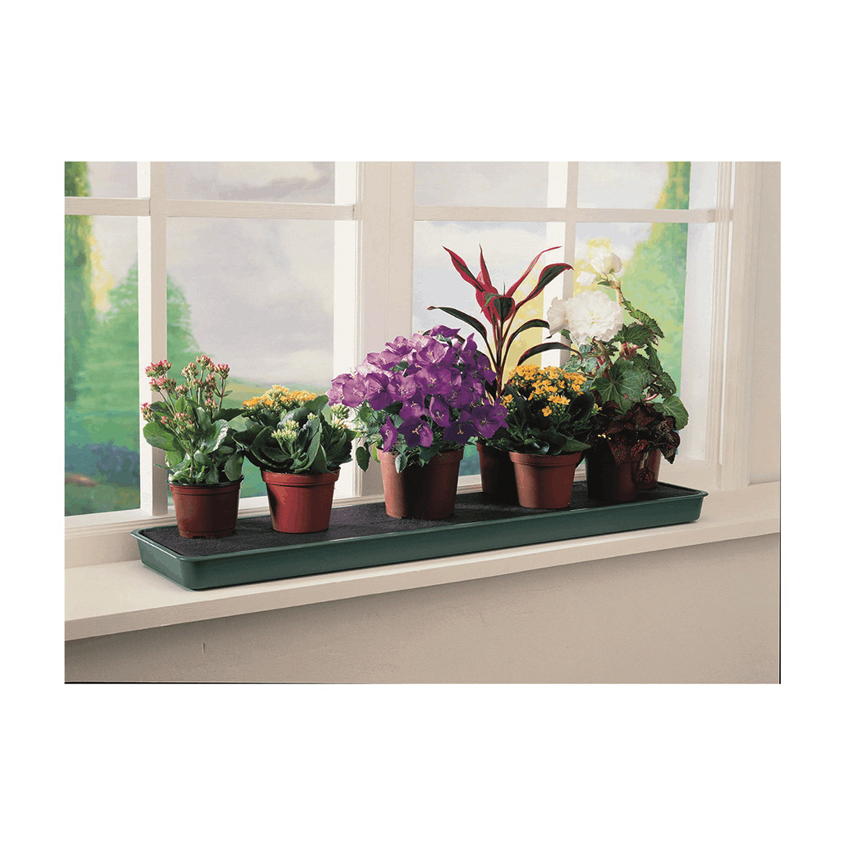 Tierra Garden GP71