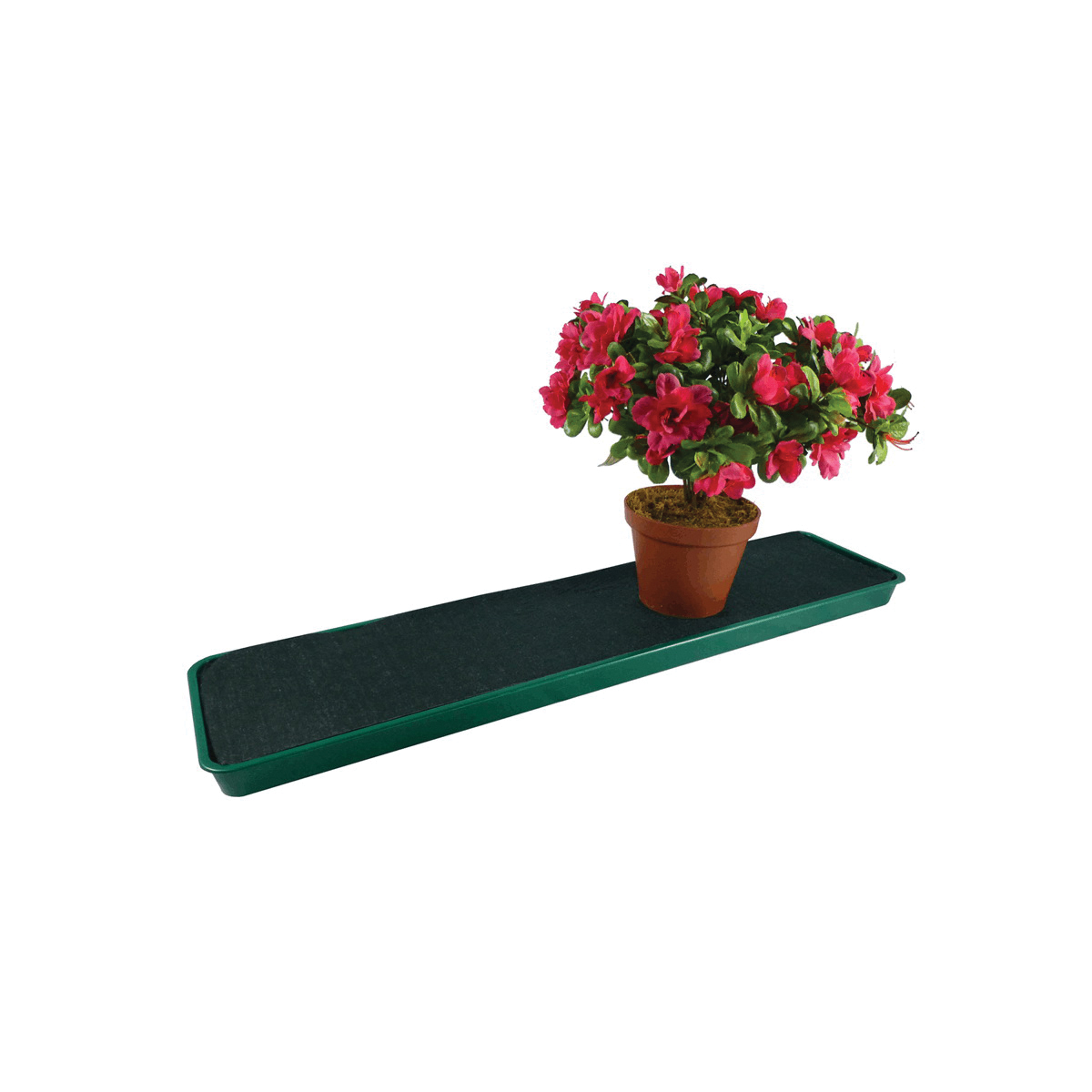 TIERRA garden GP71 Windowsill Tray, 30 in L, 7 in W, Green - 2