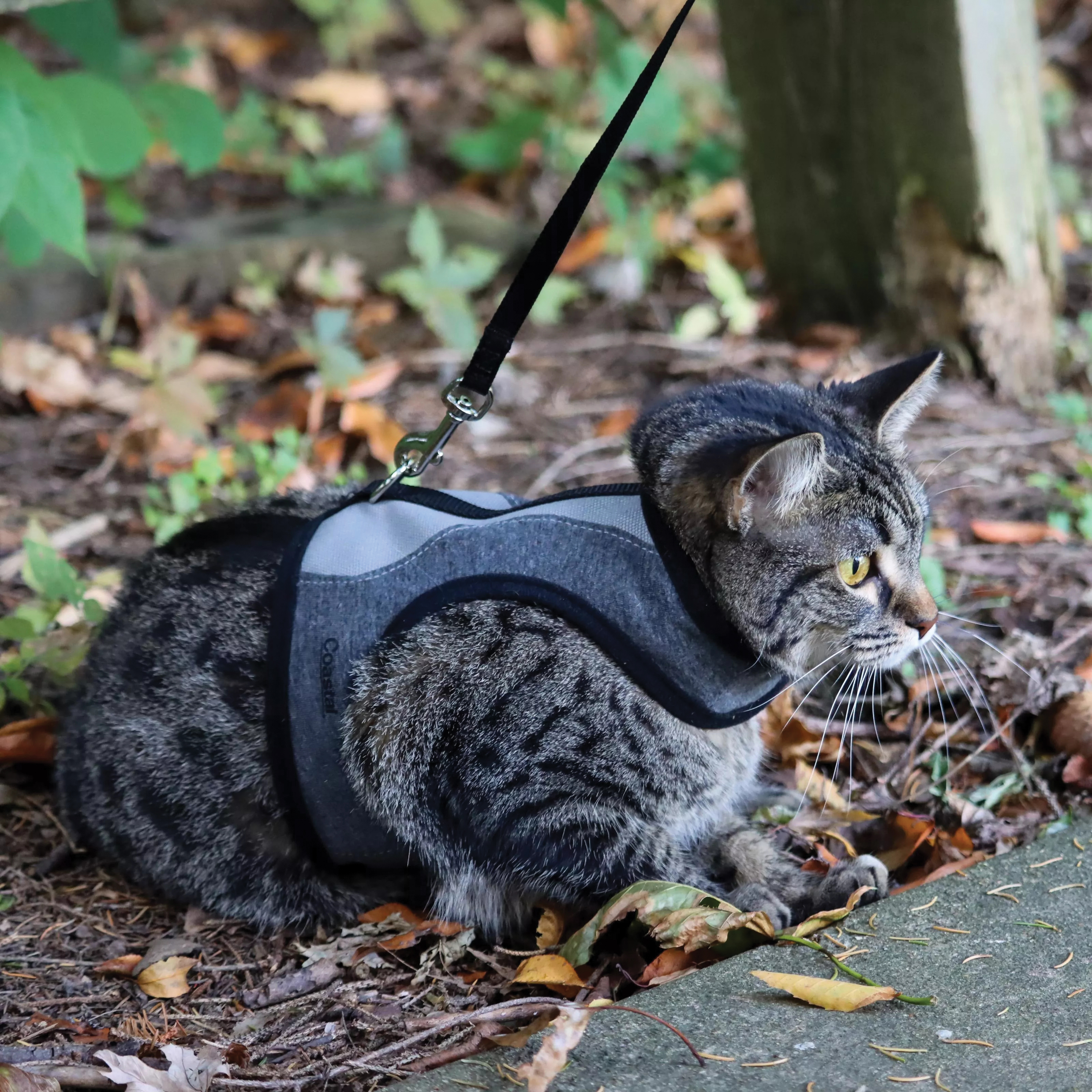 Coastal Pet Products 16326GRYSML Adjustable Cat Wrap Harness, S, 9 to 14 in W, Fastening Method: D-Ring, Fabric Harness - 4