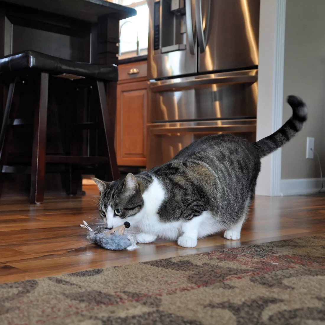 Turbo 81024 NCLCAT Cat Toy, 6-1/2 in, Hedgehog - 2