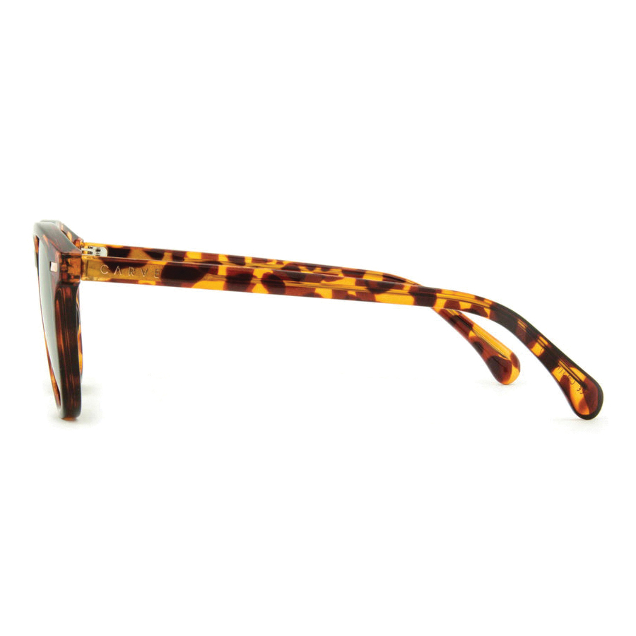 Carve Oslo Series 36030 Sunglasses, Round, Polycarbonate, Gloss Tort Gray - 4