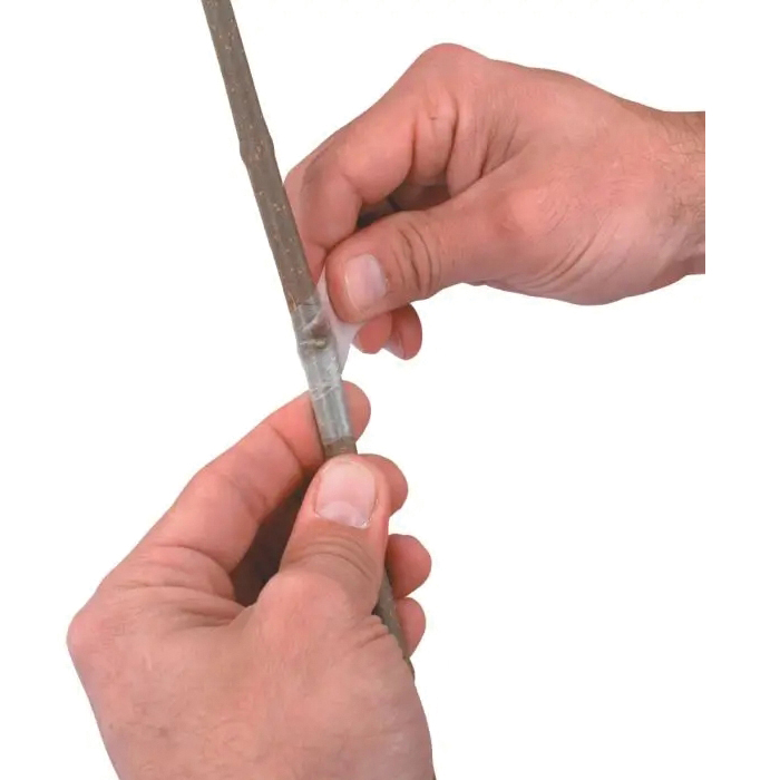A.M. Leonard BT25 Perforated Budding Tape, 2-3/4 in L, 1 in W, Paraffin/Rubber - 2